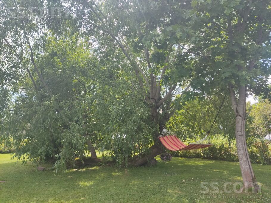 Vijolītes, Pāce, Talsi un raj., Dundagas pag. — maja