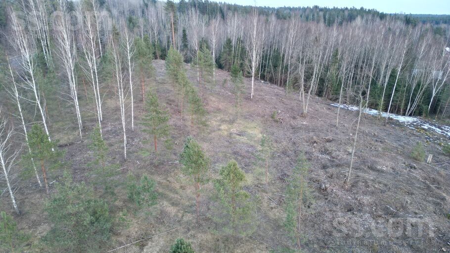 Ievziedlejas, Kangari, Rīgas rajons, Ropažu nov. — zeme