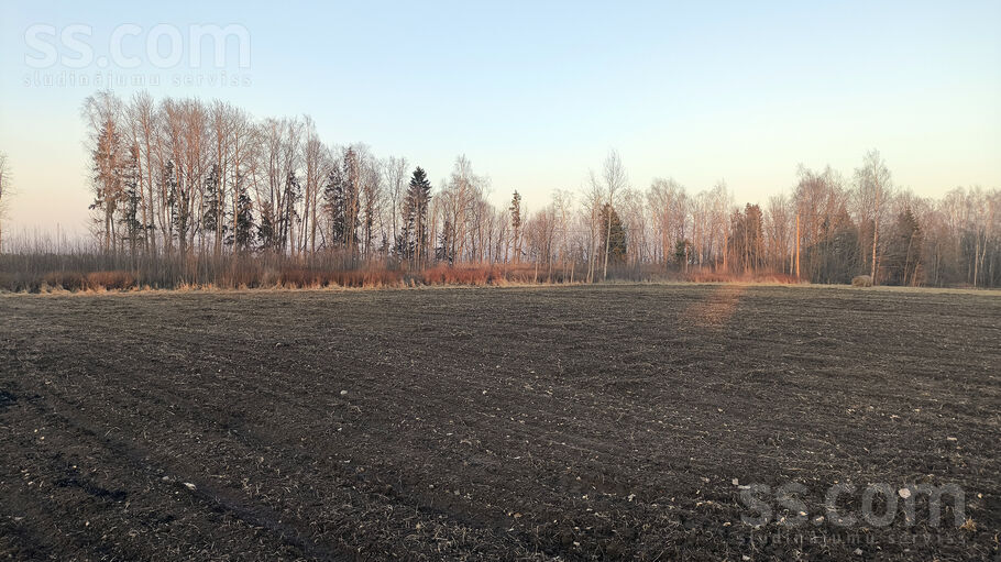 Saimnieki, Valka un raj., Smiltene — zeme