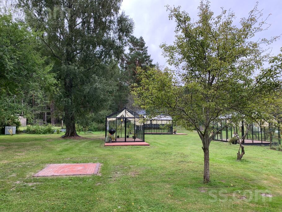 Plūmes/oāzes, Mazirbe, Talsi un raj., Kolkas pag. — maja