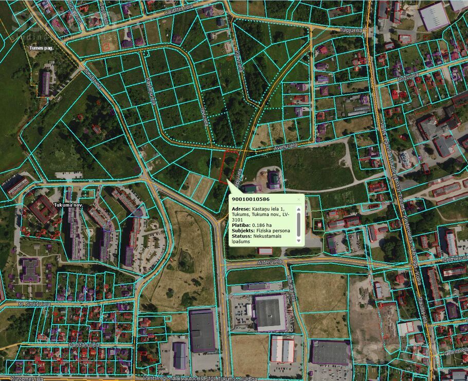 Kastaņu iela 1, Tukums un raj., Tukums — zeme
