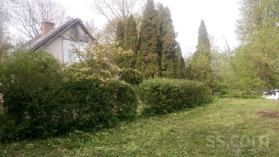 Viesturi, Bauska un raj., Viesturu pag. — vienseta