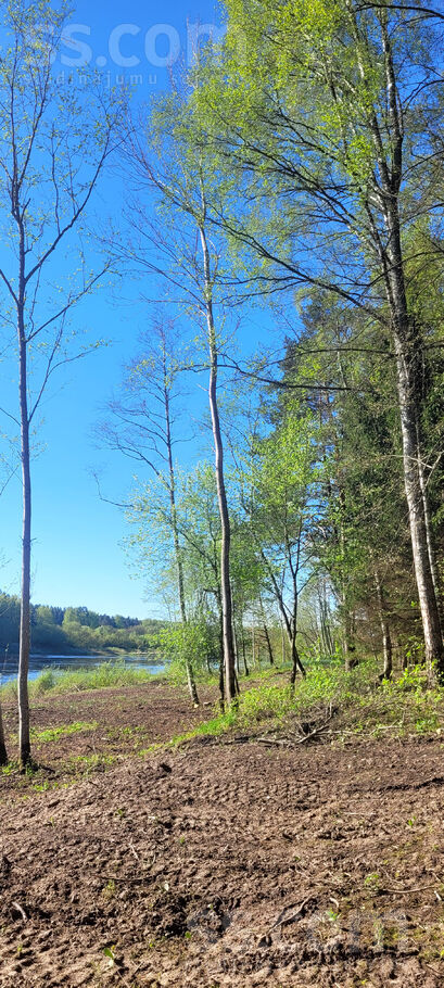 Samu līcis, Sandariški, Daugavpils un raj., Naujenes pag. — zeme