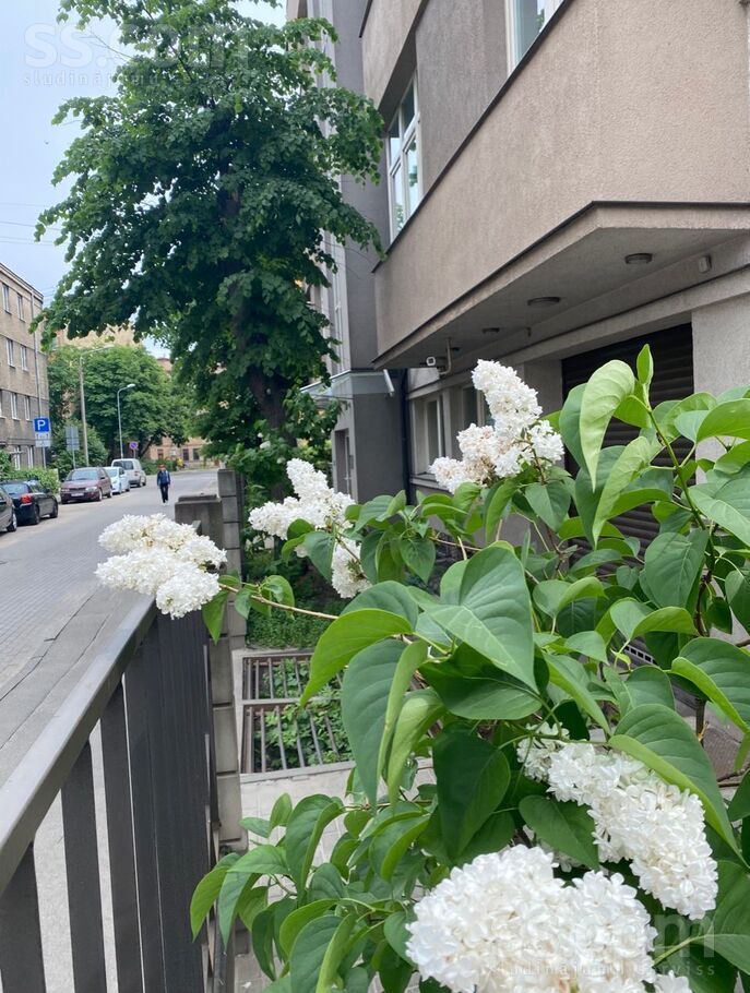 Indrānu 5, Rīga — dzivoklis