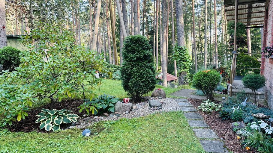 Prīmulu 10, Rīgas rajons, Saulkrasti — maja