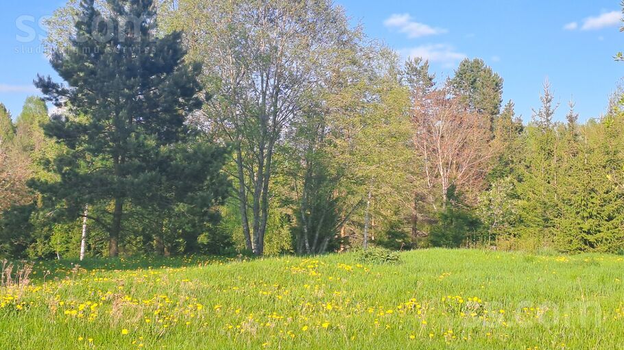 Upmalas, Ritiņi, Rēzekne un raj., Ozolaines pag. — zeme
