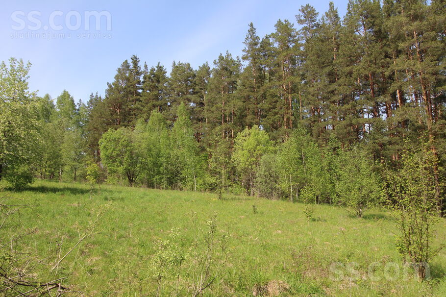 Kāši-Ventas, Daugavpils un raj., Medumu pag. — zeme