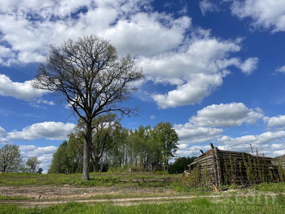Lejaslāčplēši, Cēsis un raj., Jaunpiebalgas pag. — zeme