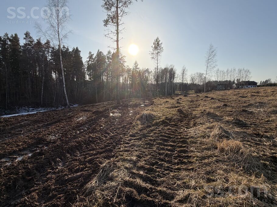 Toma iela 6, Priekuļi, Cēsis un raj., Priekuļu pag. — zeme