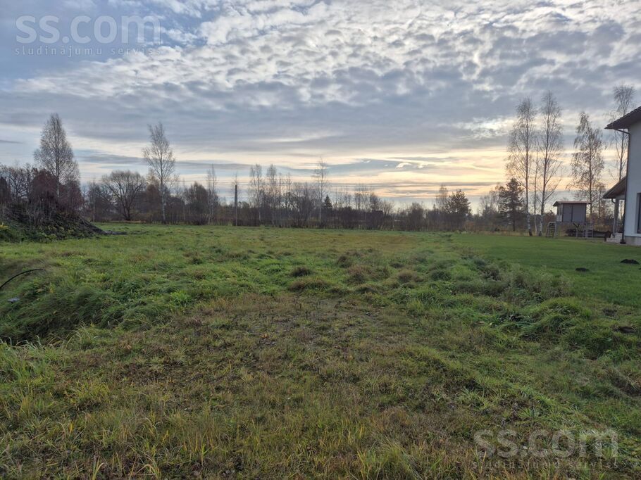 2.līnija 8e, Jelgava un raj., Jelgava — zeme