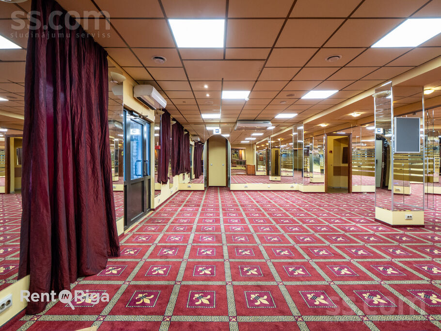 Dammes 9a, Rīga, Imanta — telpa