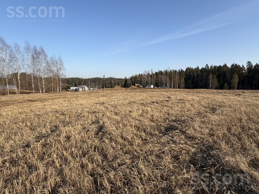 Lāčplēša iela 10, Priekuļi, Cēsis un raj., Priekuļu pag. — zeme