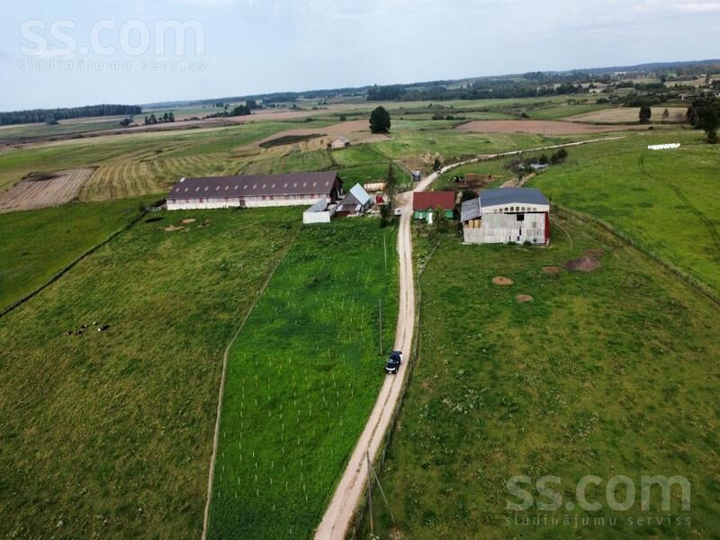 Kalna pupoli, Šengeida, Daugavpils un raj., Skrudalienas pag. — telpa