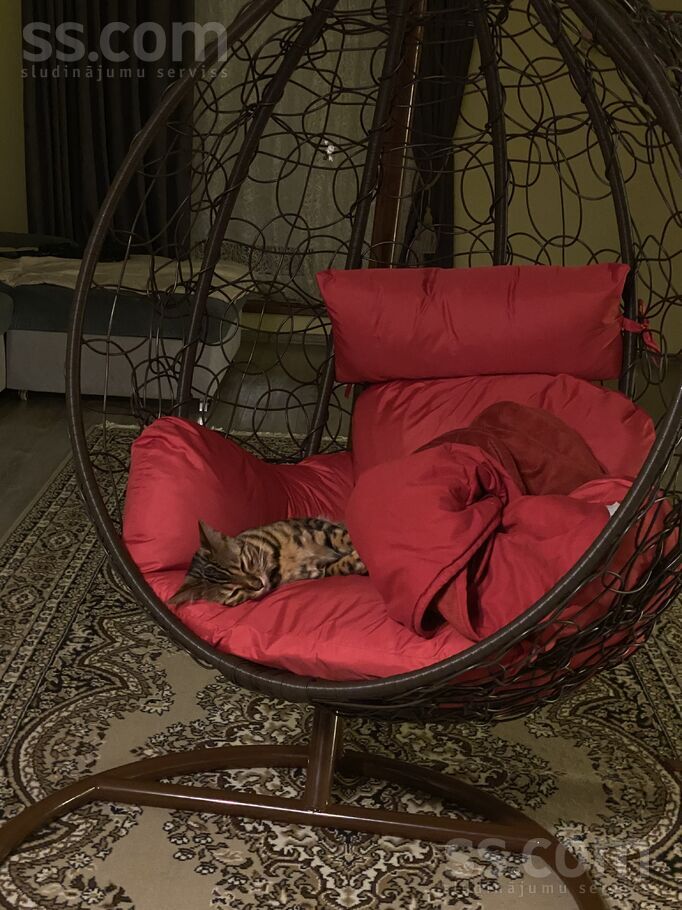 Inženieru 54, Ventspils un raj., Ventspils — maja