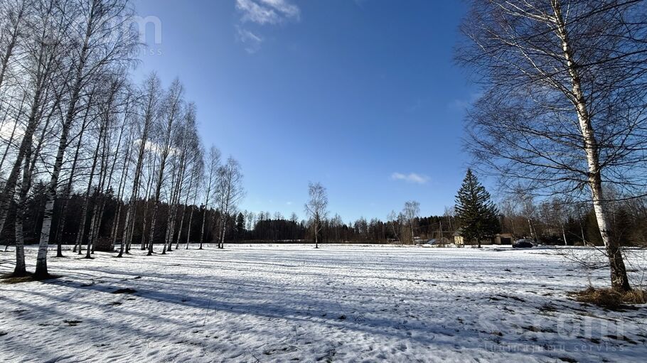 Vecupes 7, Rīgas rajons, Baldone — zeme