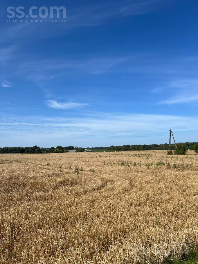 Avotiņi, Jaunlutriņi, Saldus un raj., Jaunlutriņu pag. — zeme