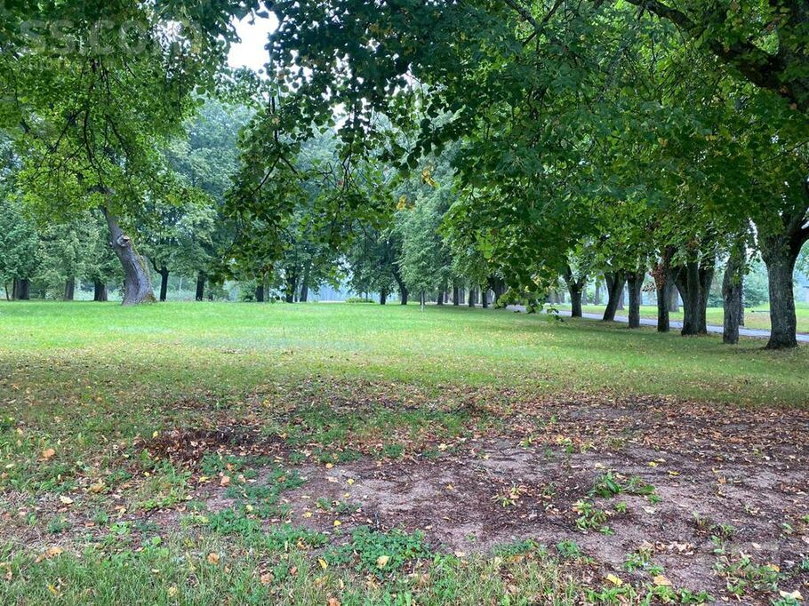 Ezersala 1, Ezersala, Ludza un raj., Zvirgzdenes pag. — maja