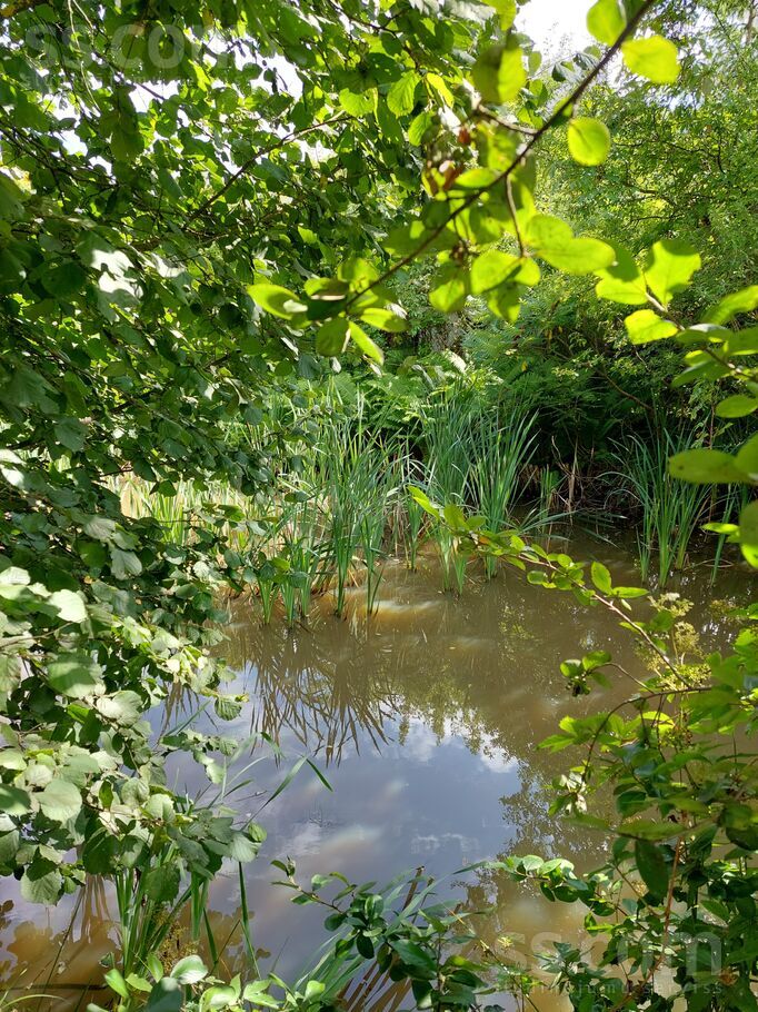 Misa 119, Misas, Rīgas rajons, Ķekavas pag. — maja