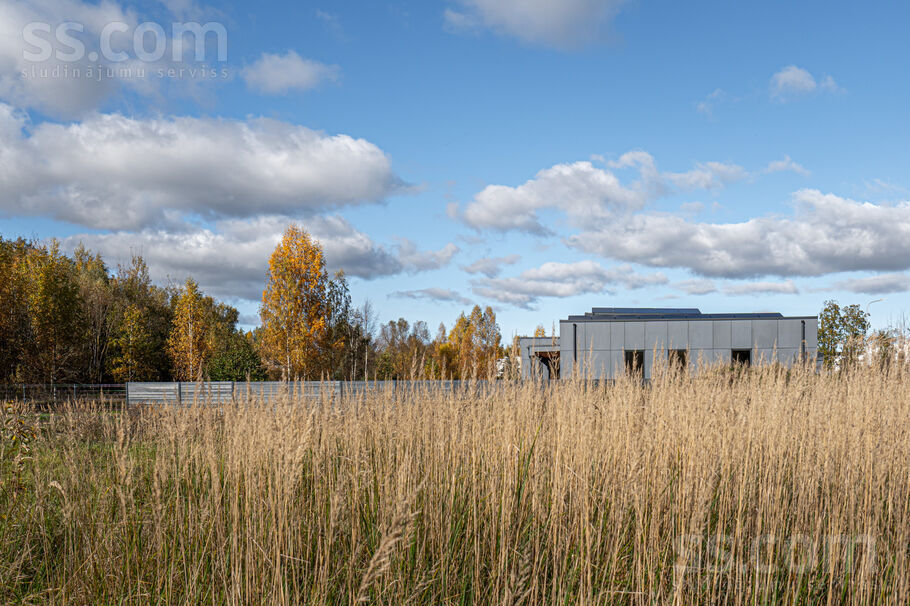 Mežavēju iela 8, Mārupe, Rīgas rajons, Mārupes pag. — maja