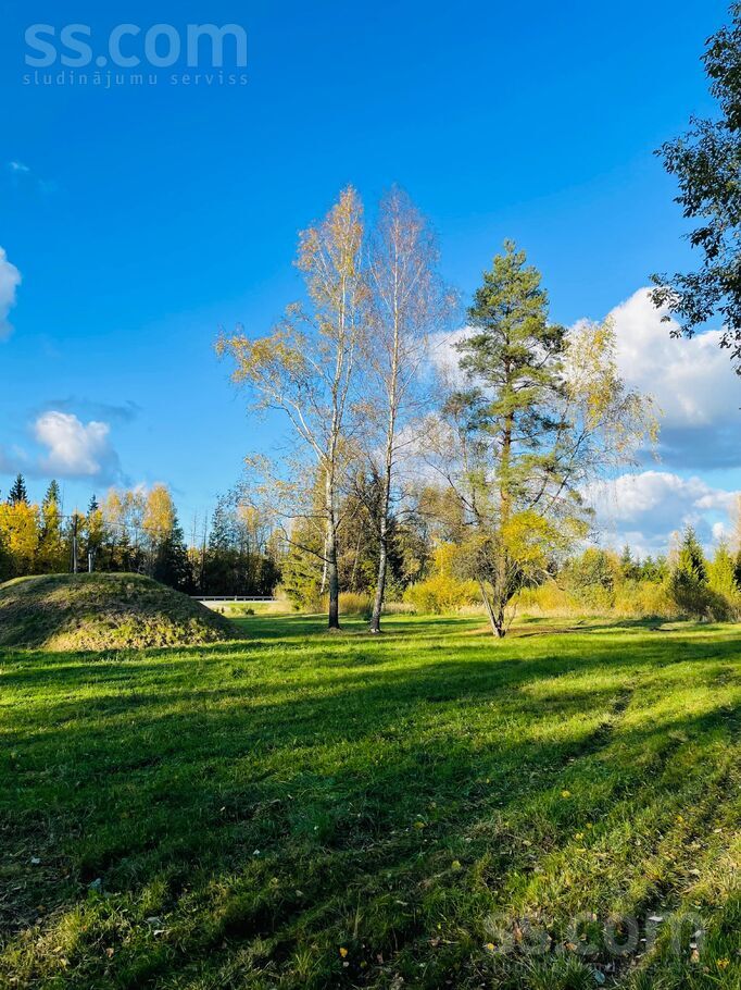 Eglītes, Pēternieki, Rīgas rajons, Olaines pag. — zeme