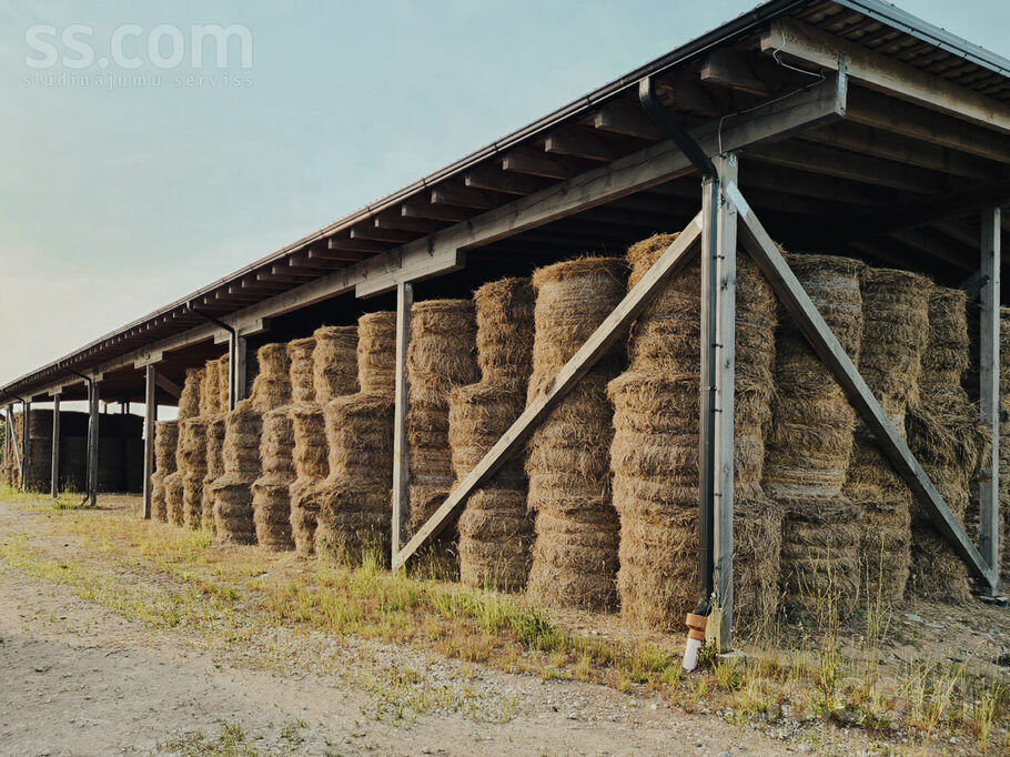 Saules, Vurpuļi, Ludza un raj., Nirzas pag. — zeme