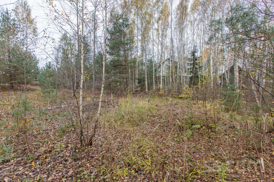 Rīta ceļš 4, Medemciems, Rīgas rajons, Olaines pag. — zeme