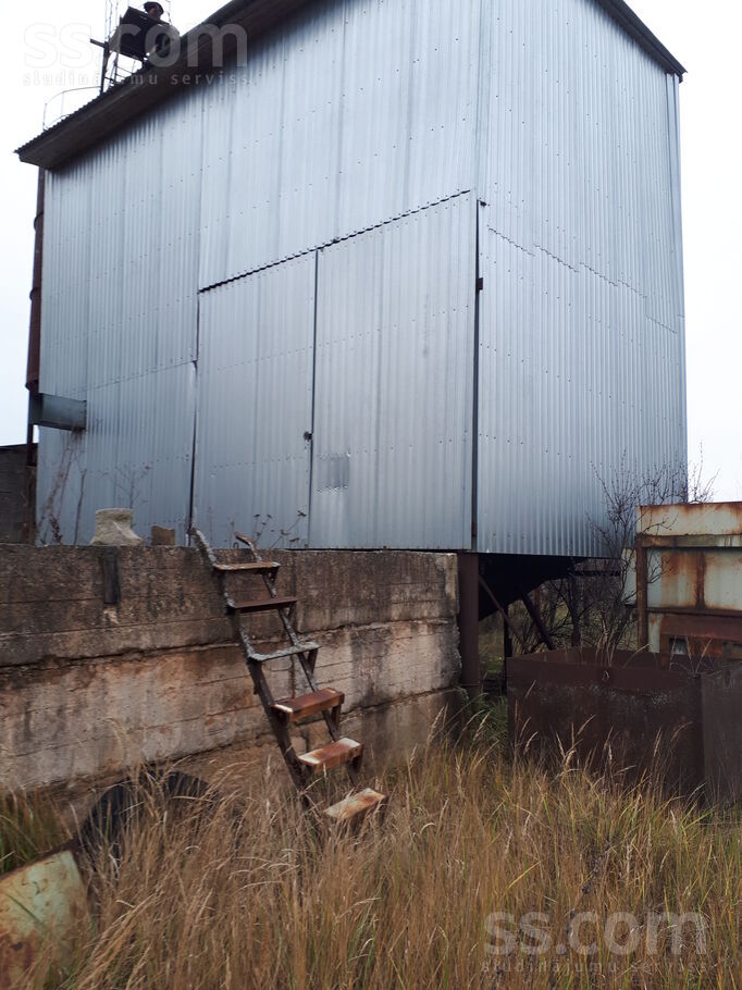 Draudzibas 3, Medumi, Daugavpils un raj., Medumu pag. — telpa