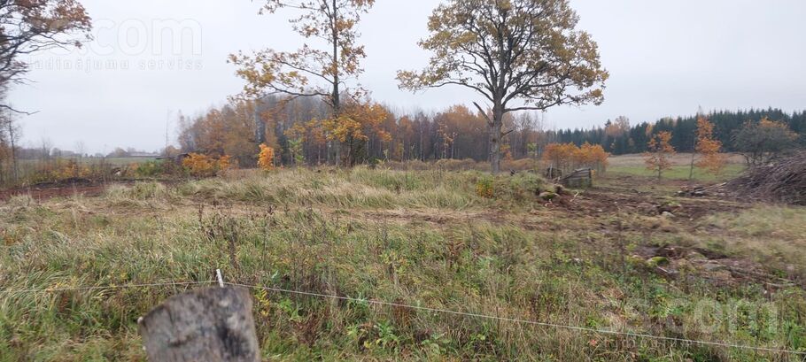 Lejaslāčplēši, Cēsis un raj., Jaunpiebalgas pag. — zeme