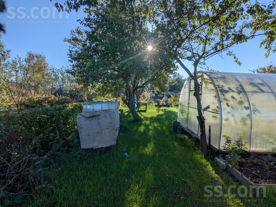 5 linija, Verpuļeva, Balvi un raj., Balvu pag. — maja