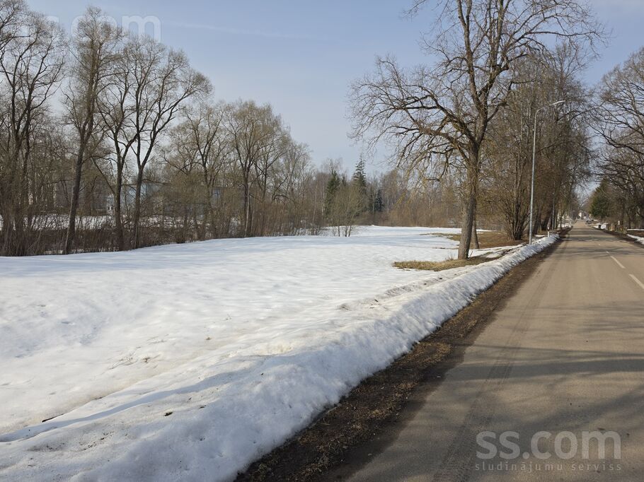 Lodziņa iela, Nereta, Aizkraukle un raj., Neretas pag. — zeme