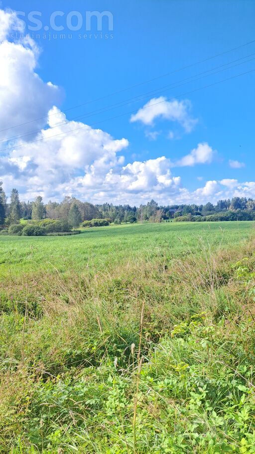 Dzērbene, Cēsis un raj., Dzērbenes pag. — vienseta