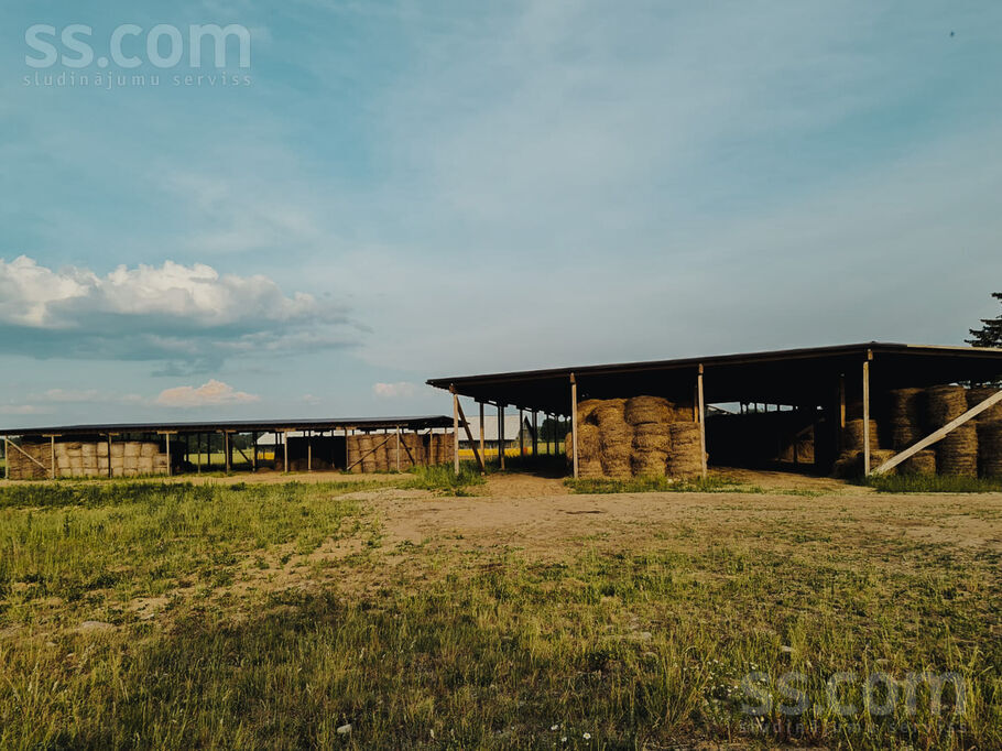 Saules, Vurpuļi, Ludza un raj., Nirzas pag. — zeme