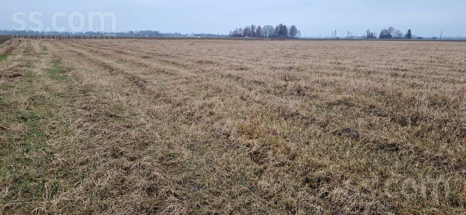 Pūliņi, Kroņauce, Dobele un raj., Auru pag. — zeme