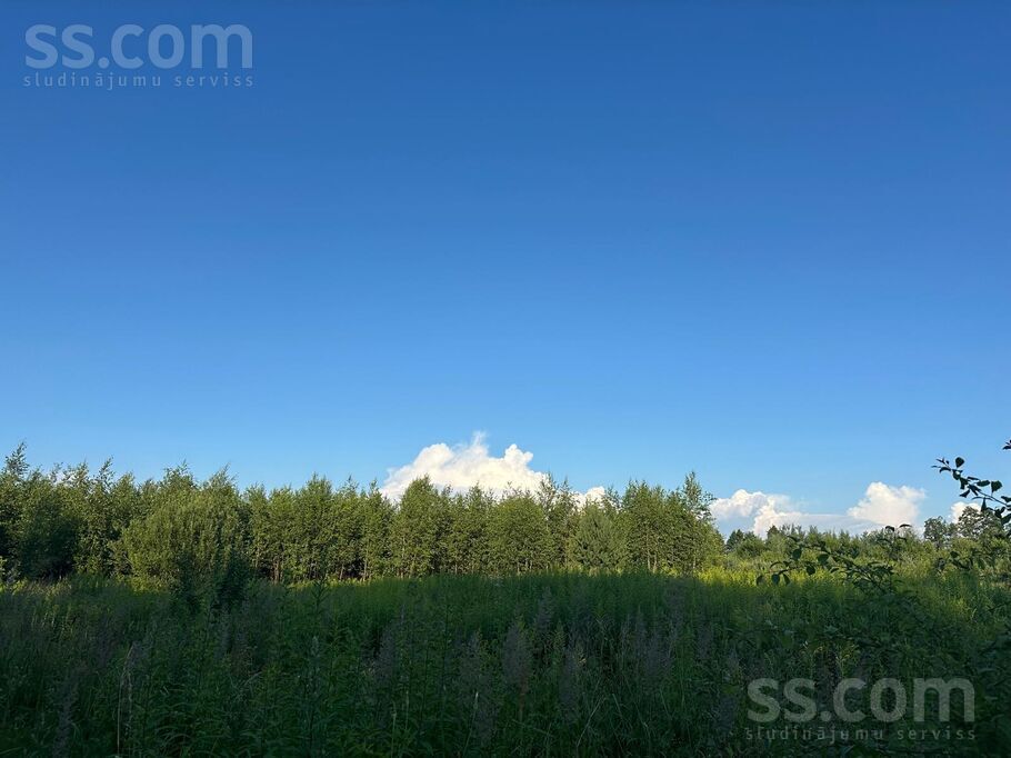 Svīķu iela 1, Pārolaine, Rīgas rajons, Olaines pag. — zeme