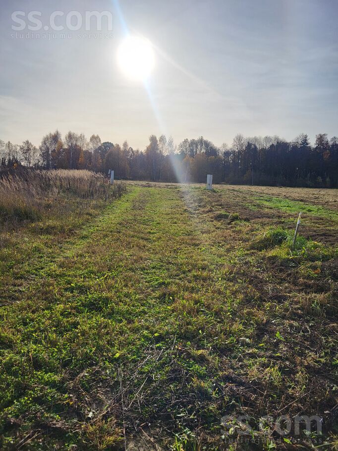 Selgas 3, Pēternieki, Rīgas rajons, Olaines pag. — zeme