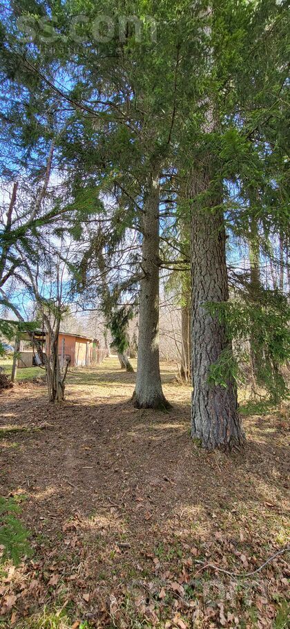 Upes iela 4, Rumbenieki, Kuldīga un raj., Rumbas pag. — zeme