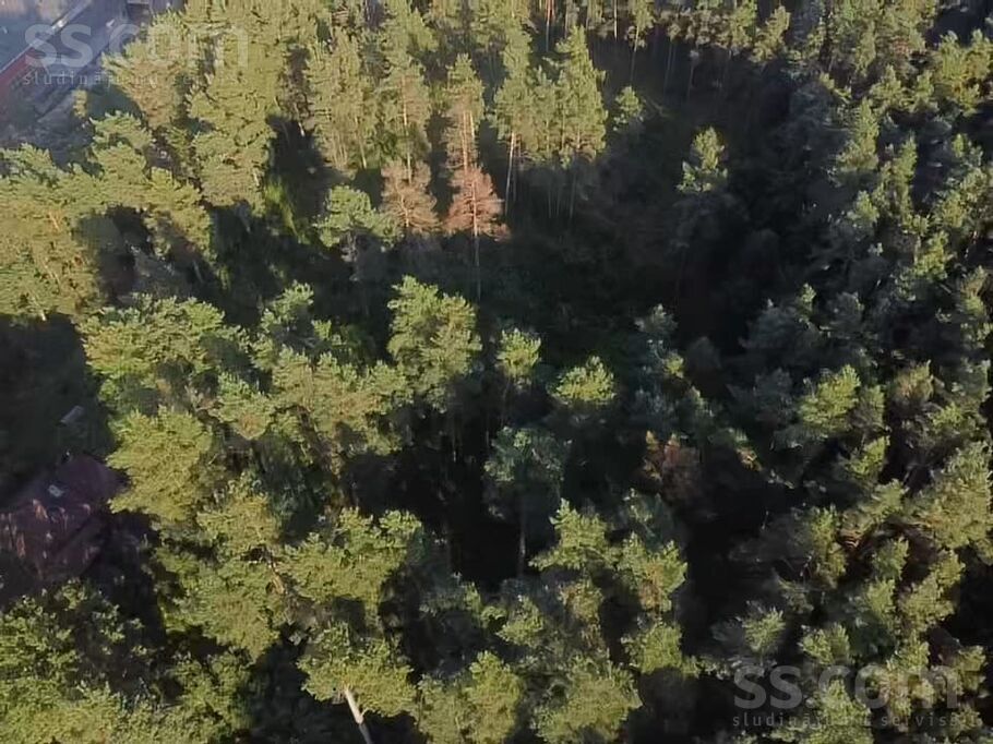 Mārkalnes, Rīga — zeme