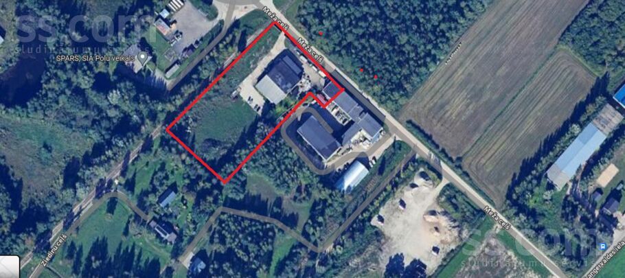 Meža ceļš 2, Raubēni, Jelgava un raj., Cenu pag. — telpa