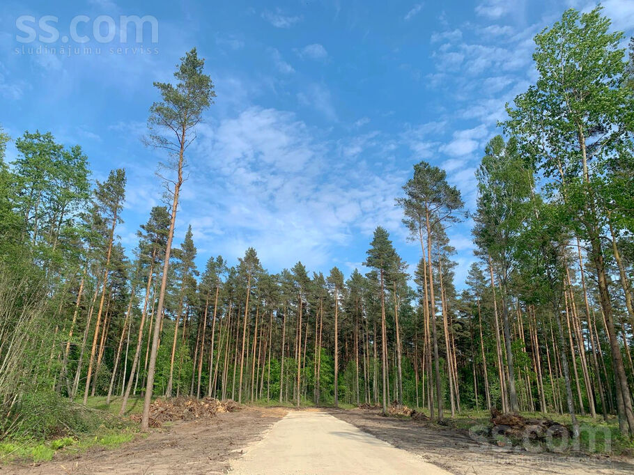 Palu iela 8, Sēbruciems, Rīgas rajons, Babītes pag. — zeme