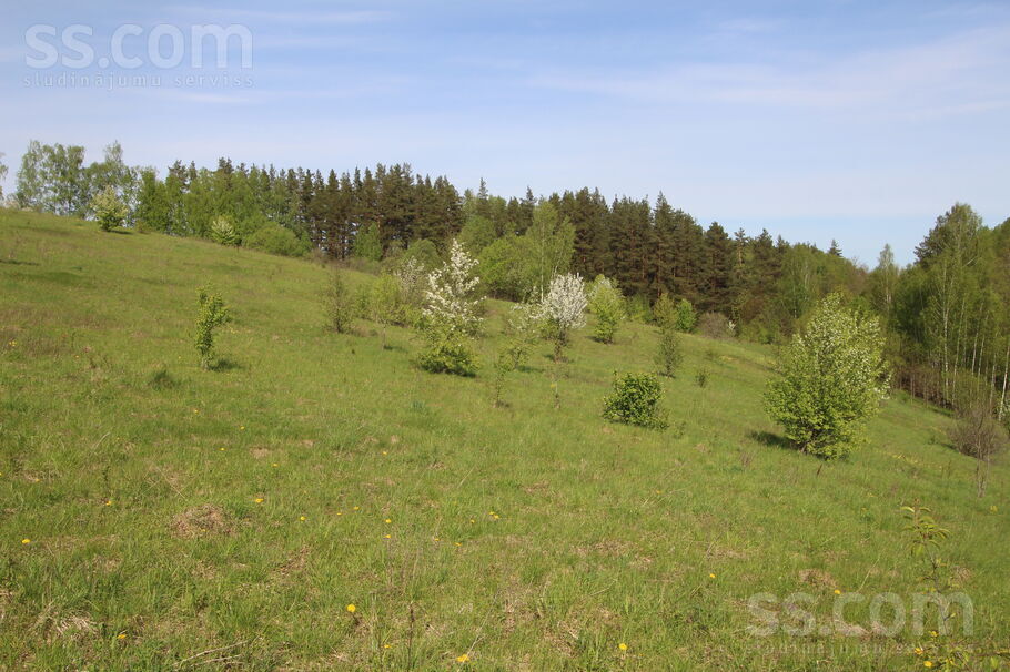 Kāši-Ventas, Daugavpils un raj., Medumu pag. — zeme
