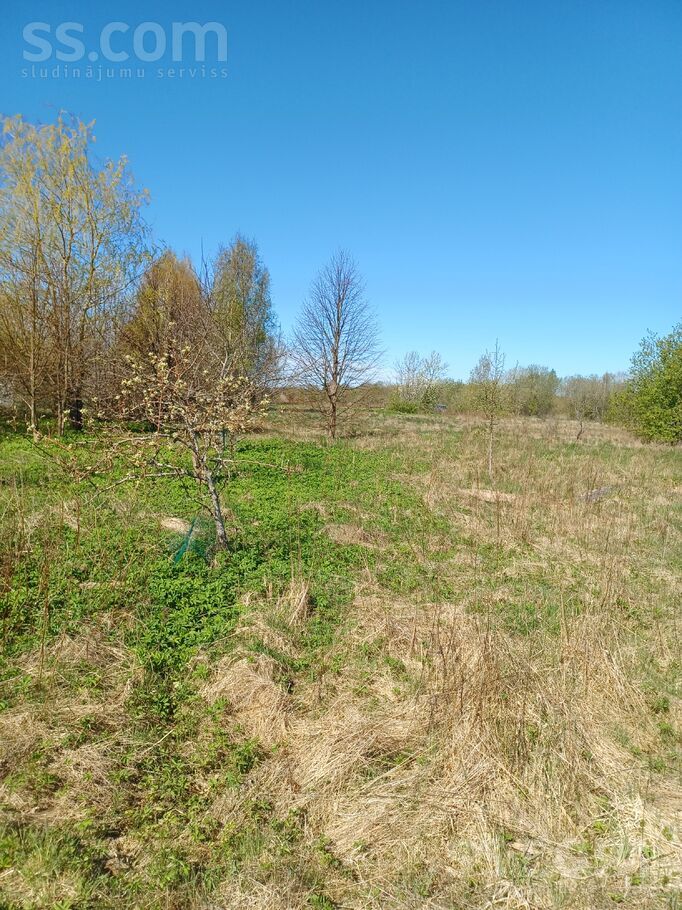 Birzītes, Vārve, Ventspils un raj., Vārves pag. — zeme