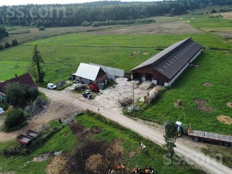 Kalna pupoli, Šengeida, Daugavpils un raj., Skrudalienas pag. — telpa