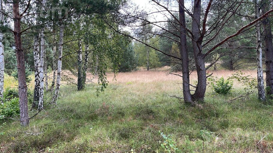 Lōrm nītõd, Sīkrags, Talsi un raj., Kolkas pag. — zeme