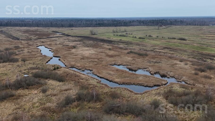 Tauriņi, Pavasari, Rīgas rajons, Salas pag. — zeme