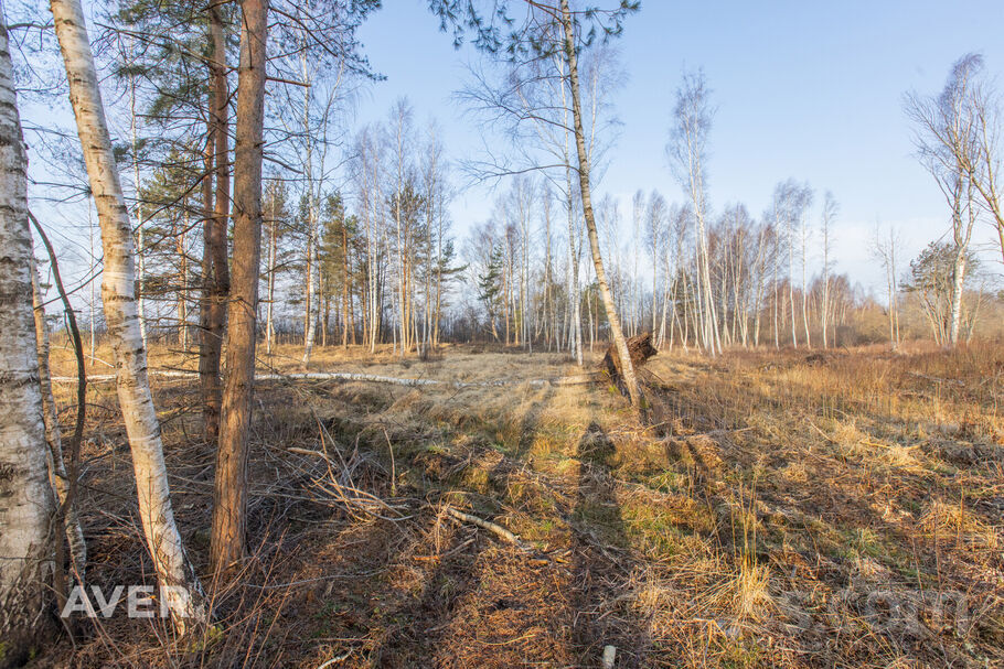 Mīļkalniņi 1, Ragaciems, Tukums un raj. — zeme