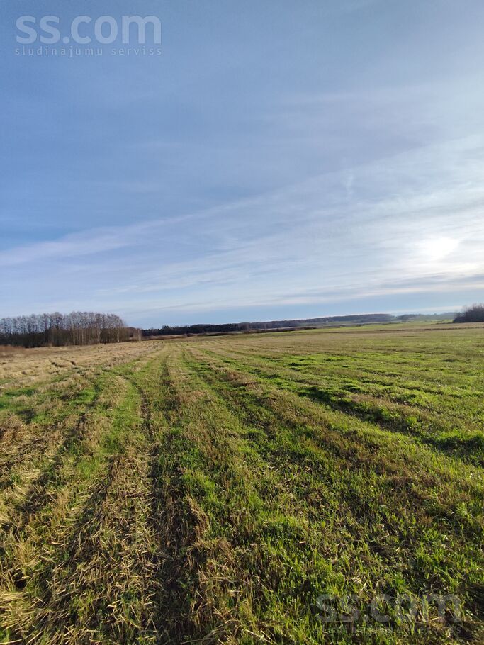 Jaunie Lauksargi, Tadaiķi, Liepāja un raj., Bunkas pag. — zeme