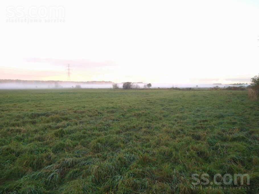 Meža 52, Rīgas rajons, Salaspils — zeme