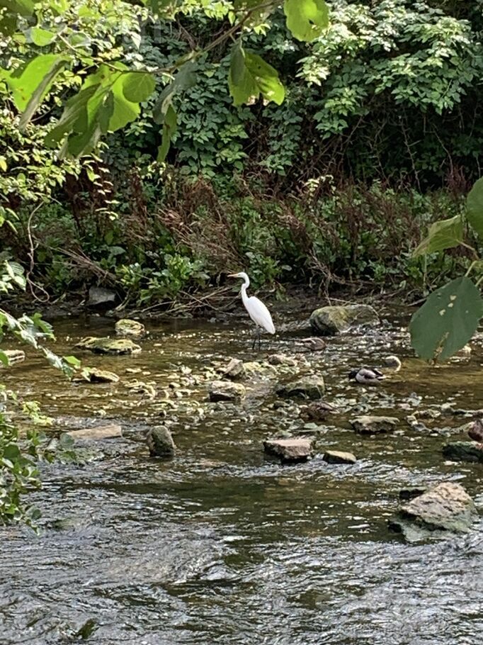 Jauna iela 2, Lapmežciems, Tukums un raj. — zeme