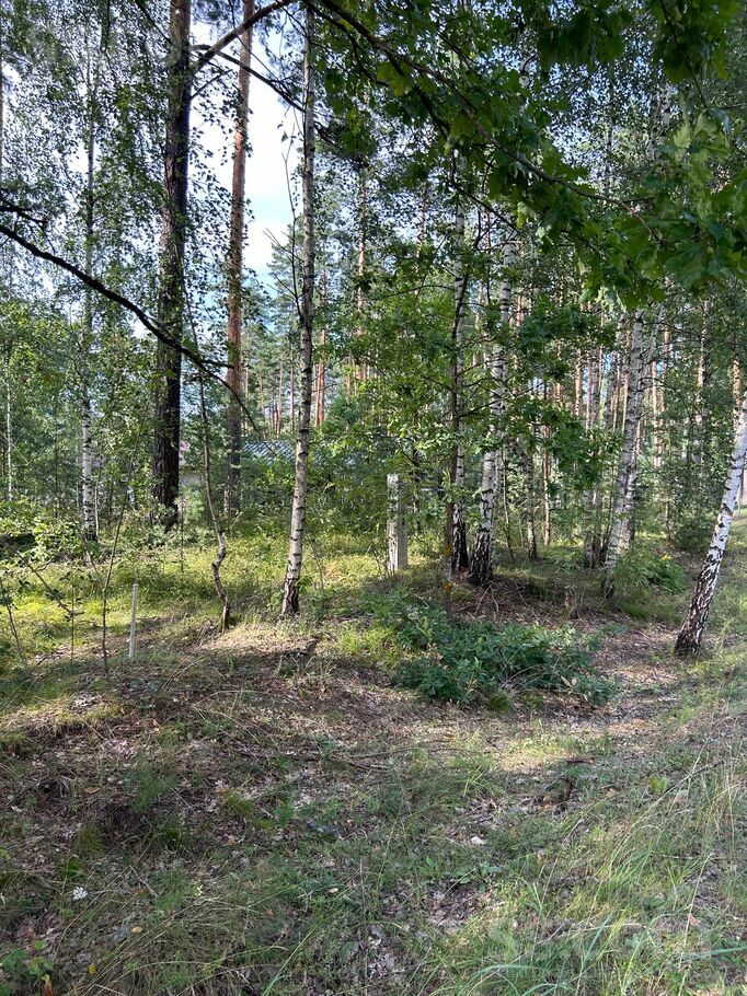 Paparžu iela 8, Bukulti, Rīgas rajons, Garkalnes nov. — zeme