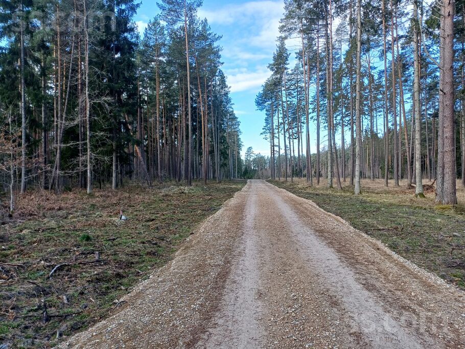 Mežmalas iela, Engure, Tukums un raj., Engures pag. — zeme